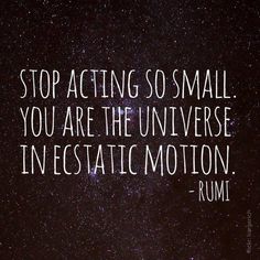 rumi 2014