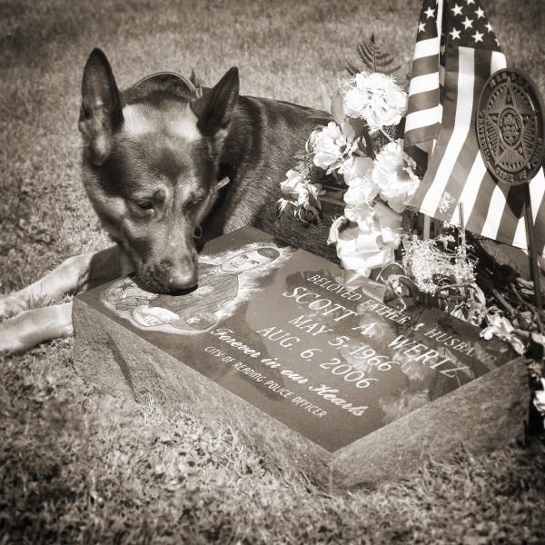 6344d659fbf89834aa8f2deb3b718e4c--street-pictures-pictures-of