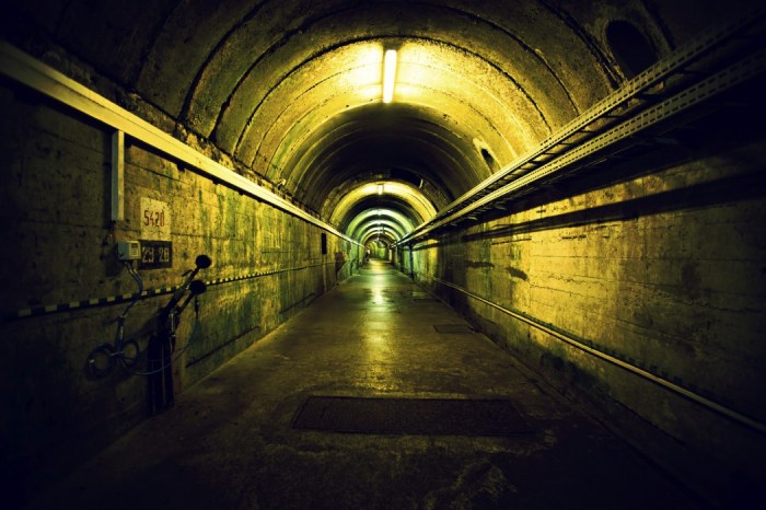 iStock_000070370611_Medium-1050x699