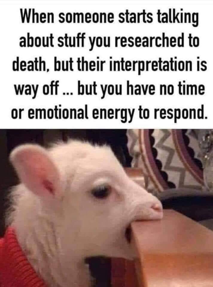 Qg6u2UTk.jpg-medium copy